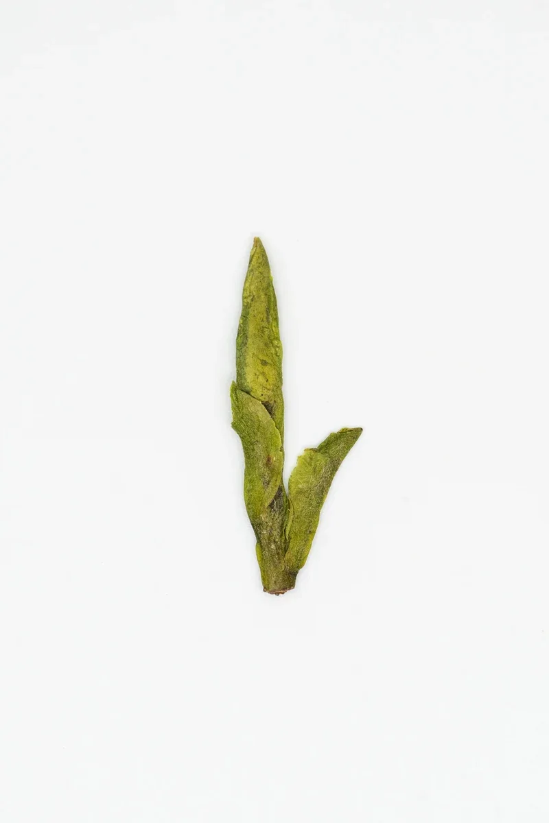 Wūniú Zǎo