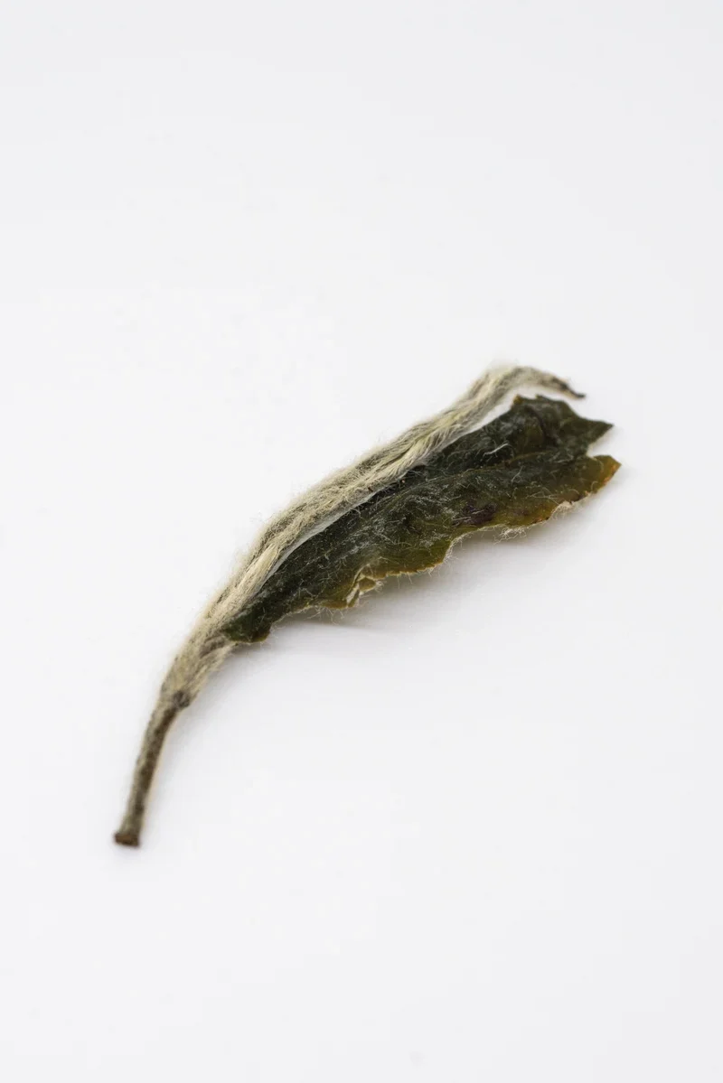 Mǔdān Wáng