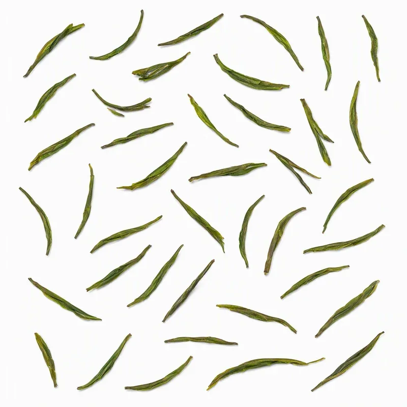 天目湖白茶