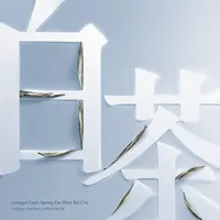 Guǎngxī Early Spring Yìn Zhèn Bái Chá
