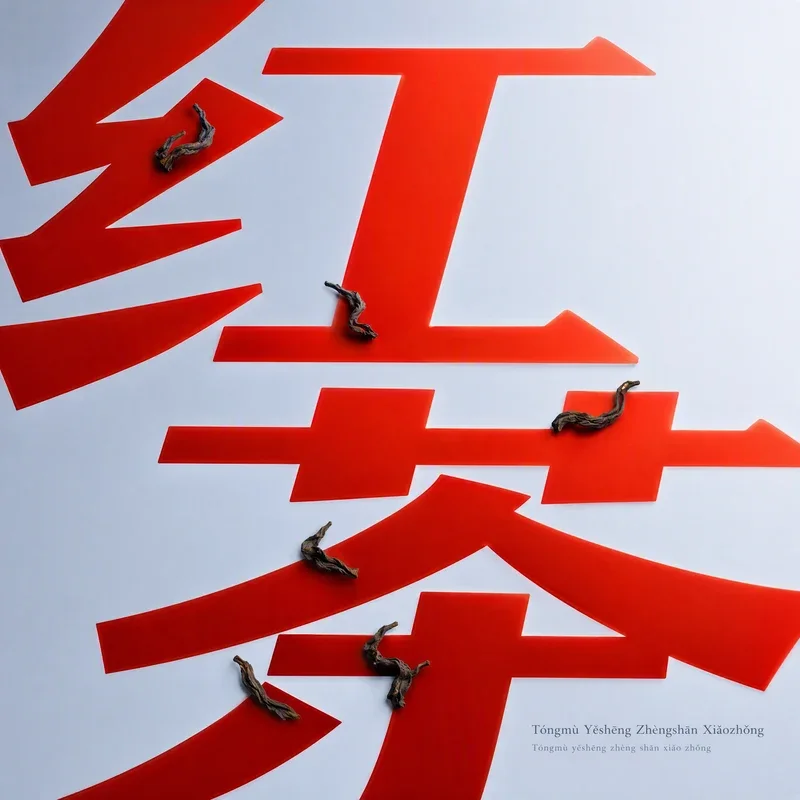 Tóngmù Yěshēng Zhèng Shān Xiǎo Zhǒng