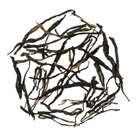 Yuèguāng Jīn Zhī