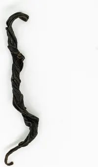 Yúnnán Jǐngmài Yè Shěng Hóng Chá