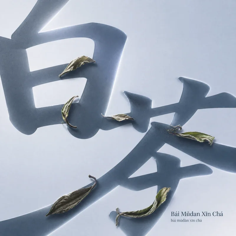 Bái Mǔdān Xīn Chá