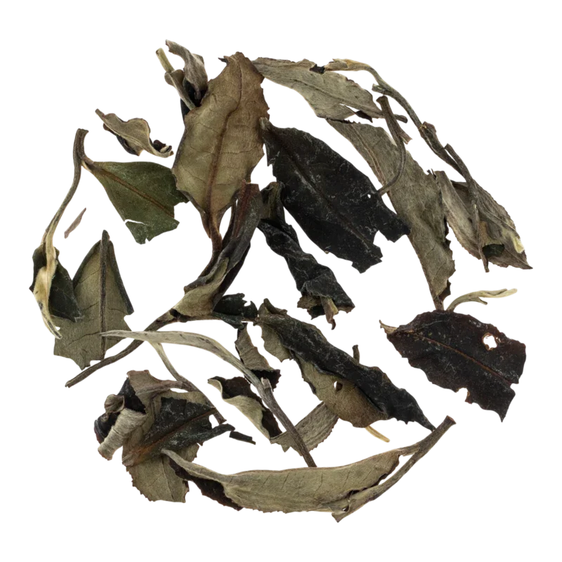 Rǔchéng Bái Máo Chá