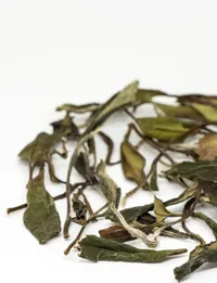 Shǒu Méi Xīn Chá
