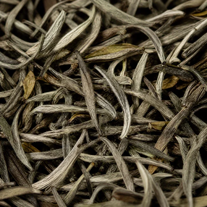 Bái Háo Yìn Zhèn Lǎo Chá