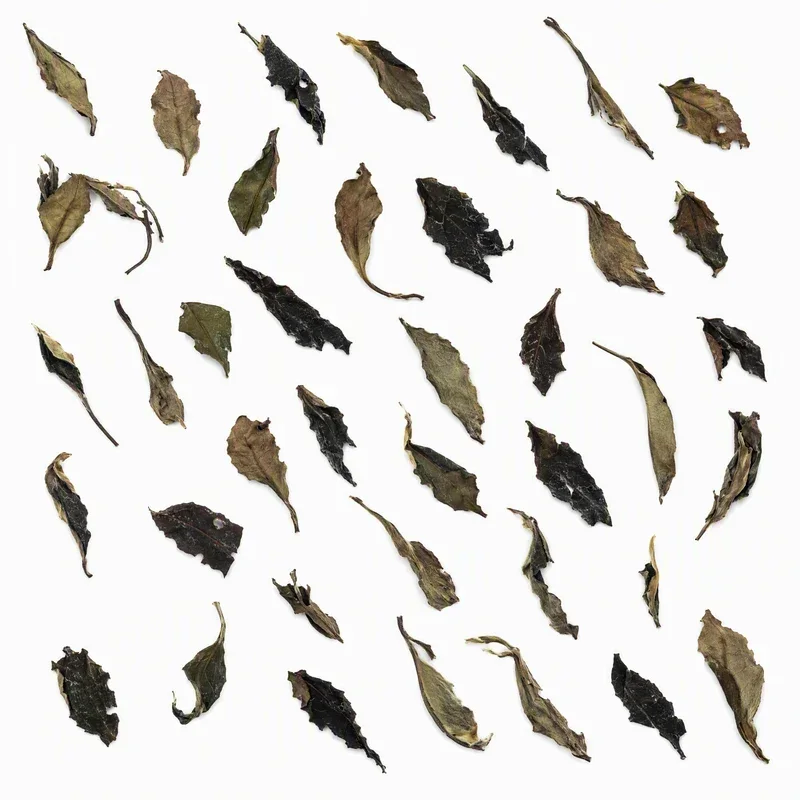 汝城白毛茶