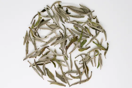 白毫银针新茶