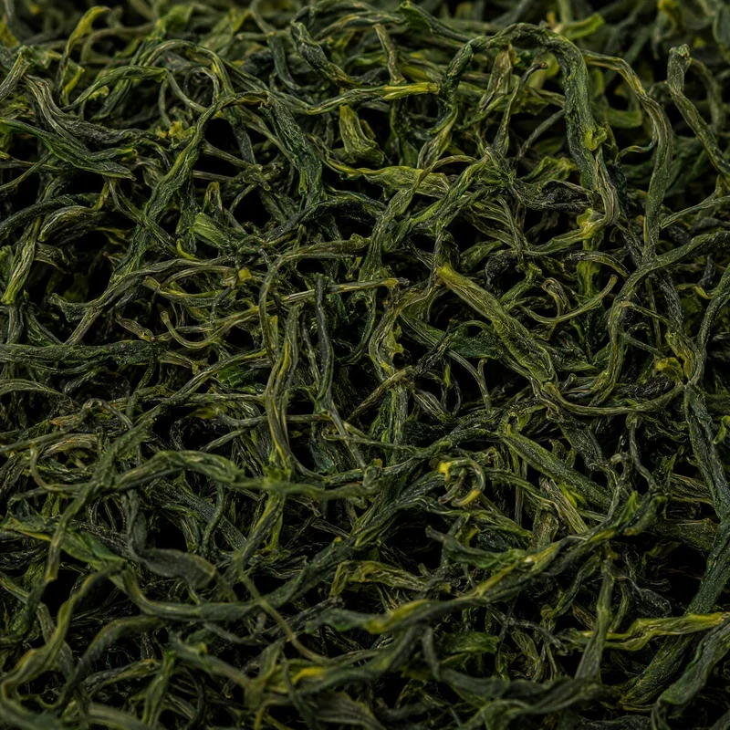 Songfeng Lü Chá