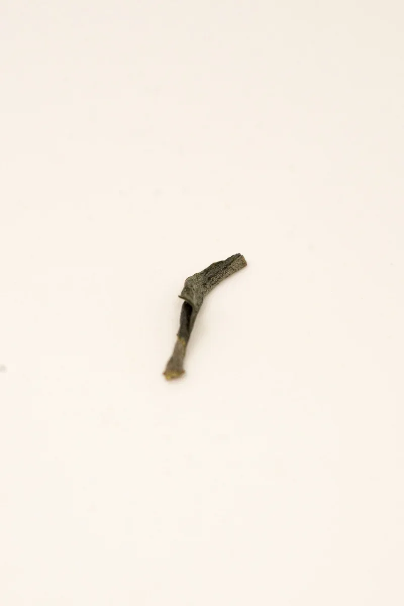 白沙綠茶