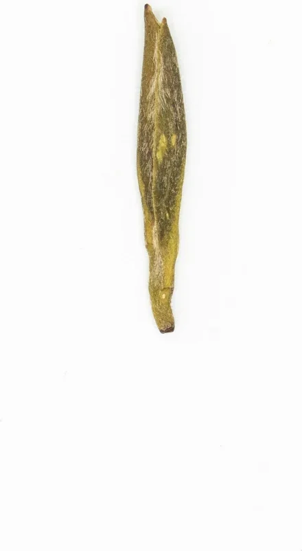 Méngdǐng Huáng Yá
