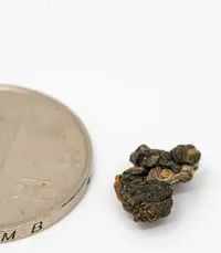 Líshān Oolong