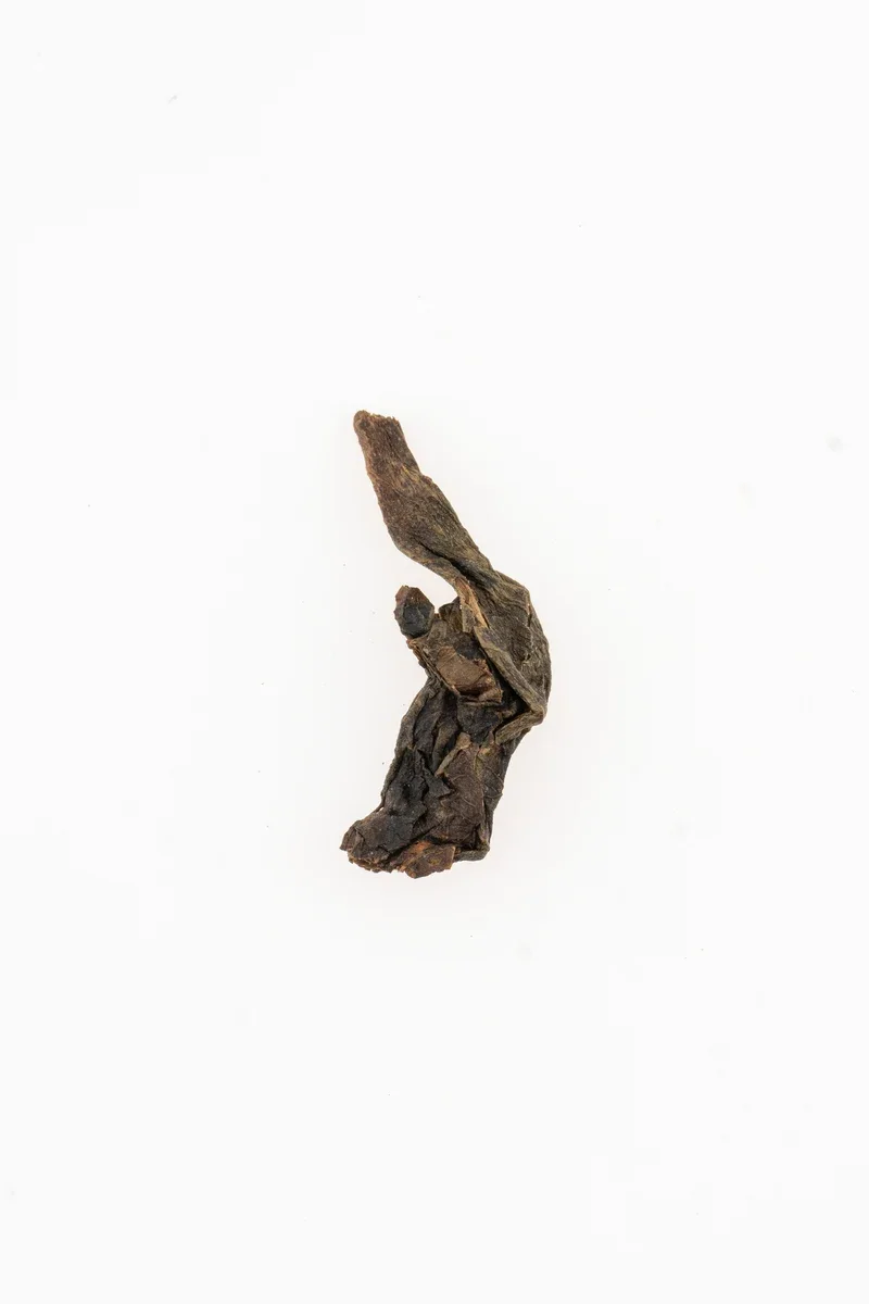 Gǔ yī hēi chá
