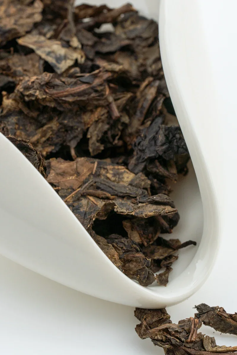 Gǔ yī hēi chá
