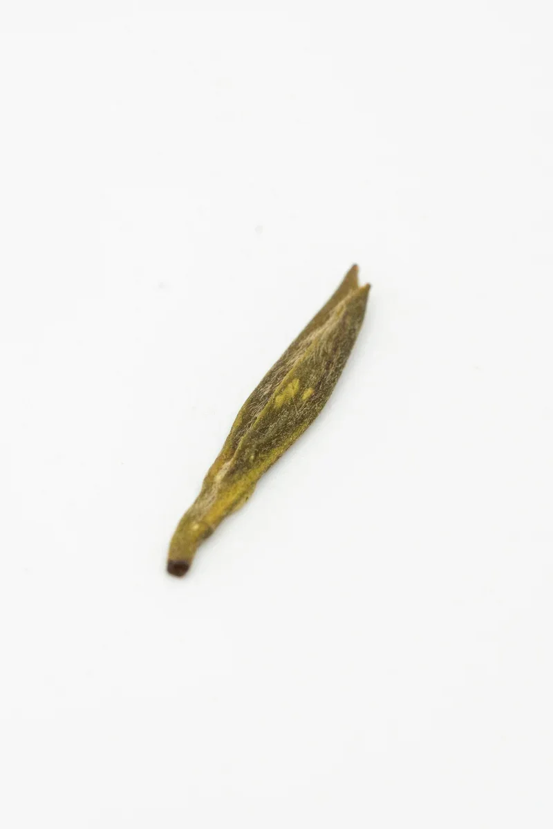 Méngdǐng Huáng Yá