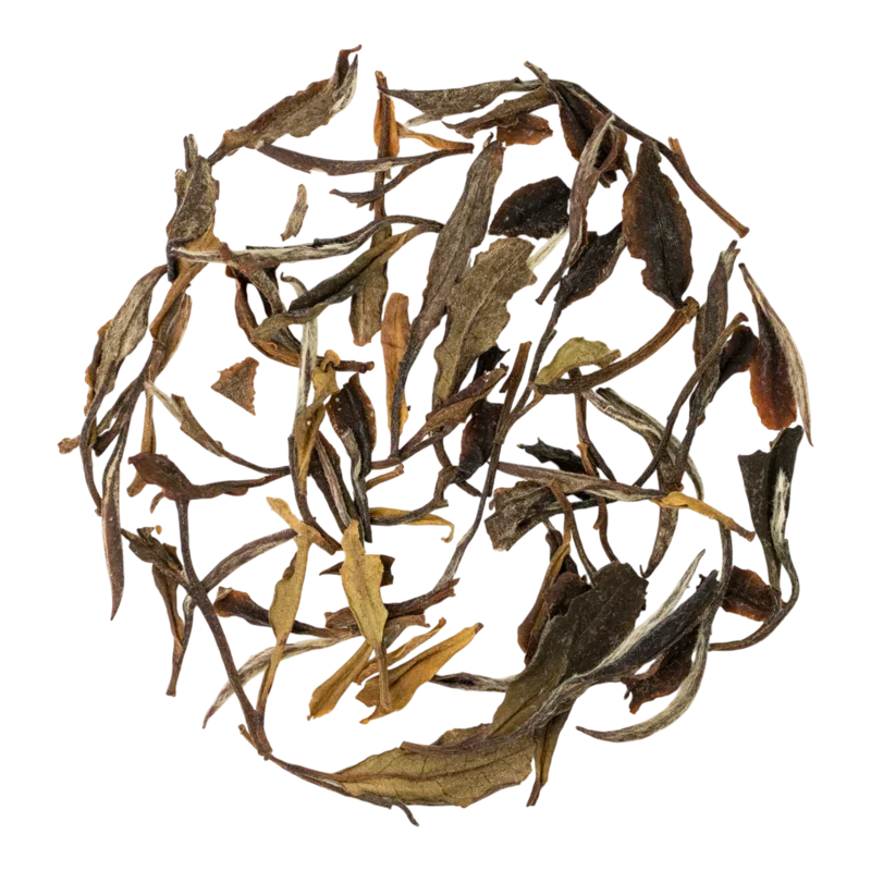 Bái Mǔ Dàn Lǎo Chá