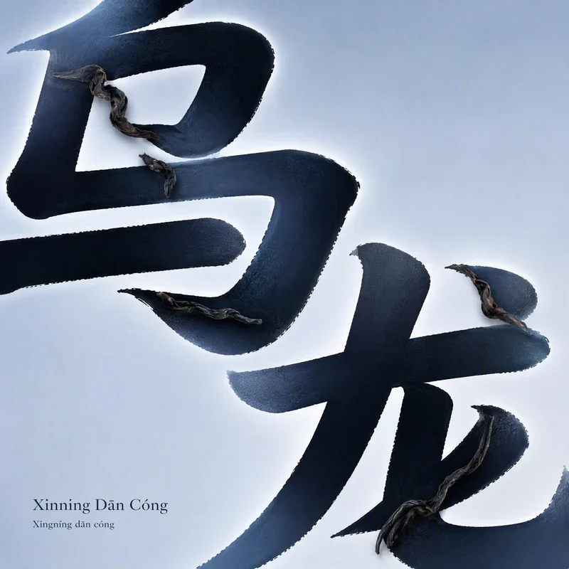 Xingning Dan Cong