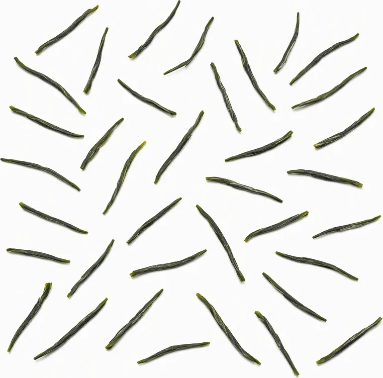 Xīn Línyùlù