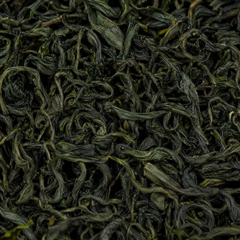 嶗山綠茶
