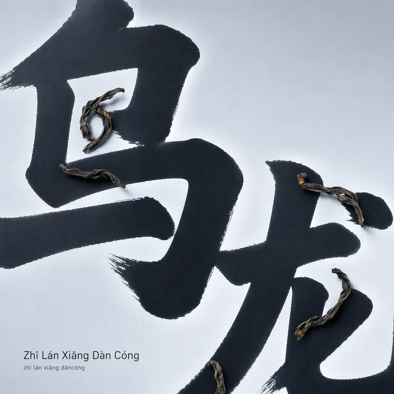 Zhī Lán Xiāng Dàn Cóng