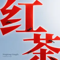 Nínghóng Gōngfū
