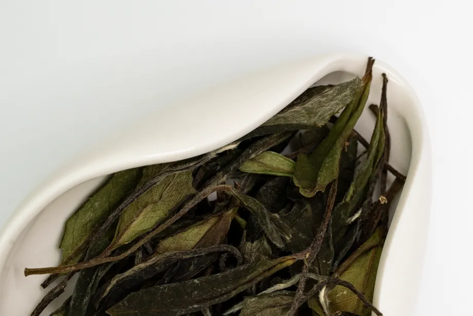Shǒu Méi Xīn Chá