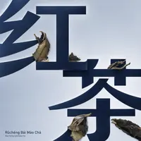 Rǔchéng Bái Máo Chá