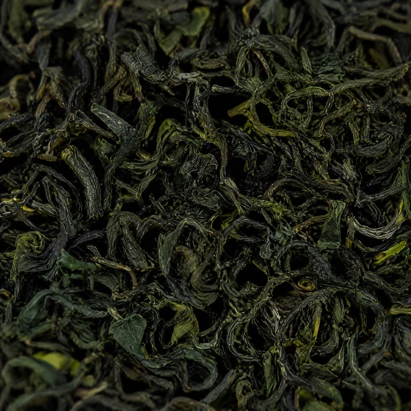 Shuǐchéng chūnchá