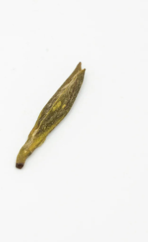 Méngdǐng Huáng Yá