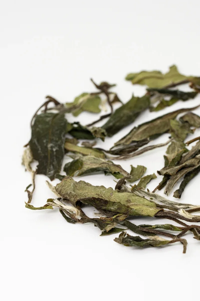Bái Mǔdān Xīn Chá