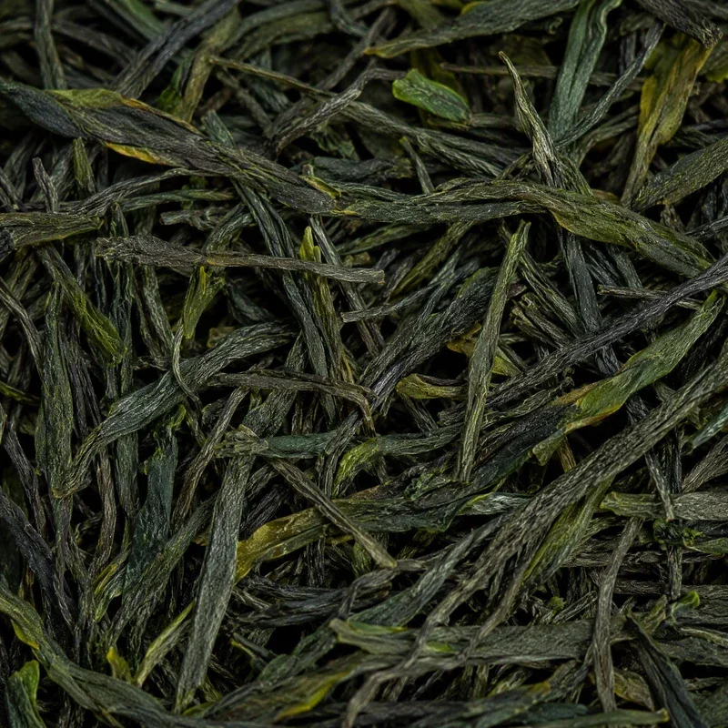 浮瑤仙芝