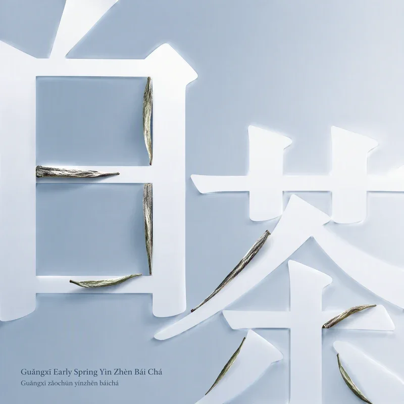 Guǎngxī Early Spring Yìn Zhèn Bái Chá