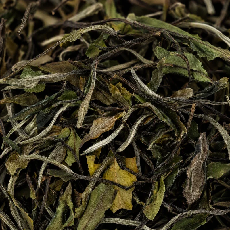 Jiànyáng Bái Chá