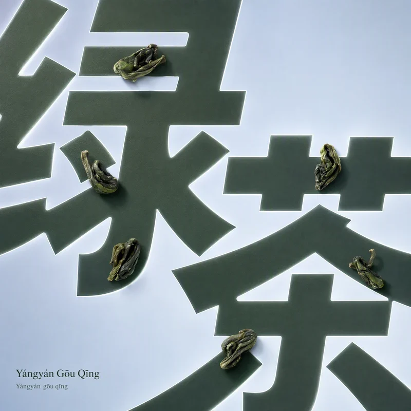 Yángyán Gōu Qīng