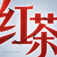 Fújiàn Gāoshān Hóngchá