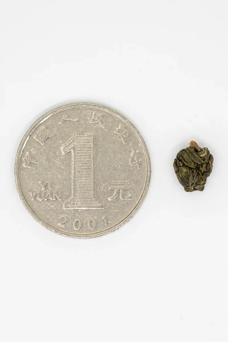 Shānlínxī Oolong