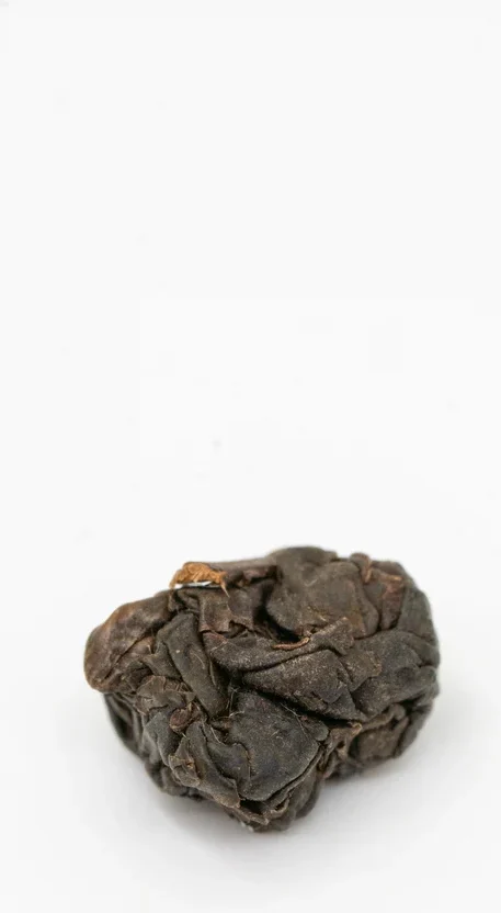 Dòng Dǐng Oolong