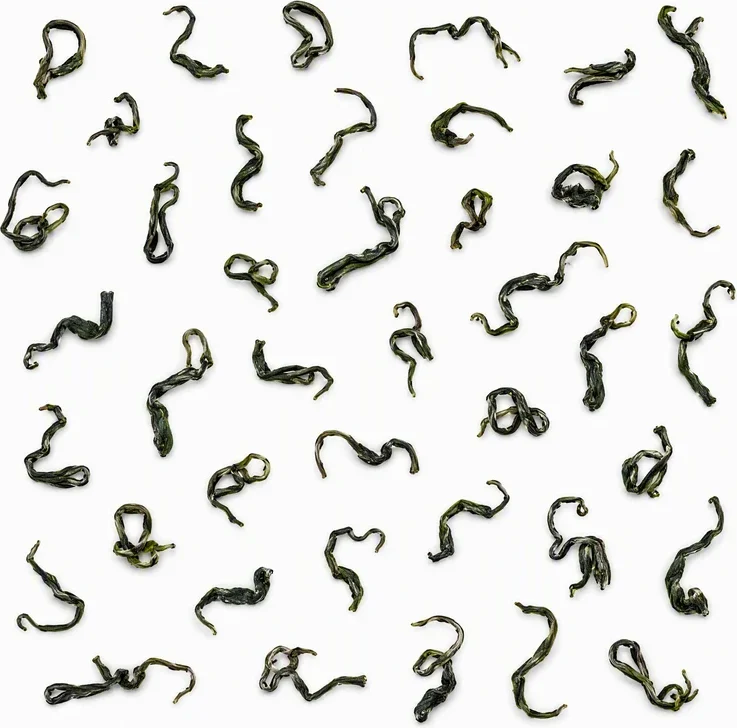 Songluocha