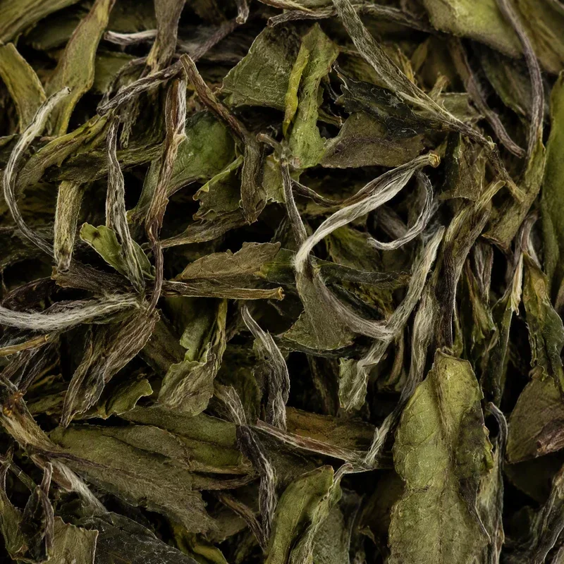 Bái Mǔdān Xīn Chá