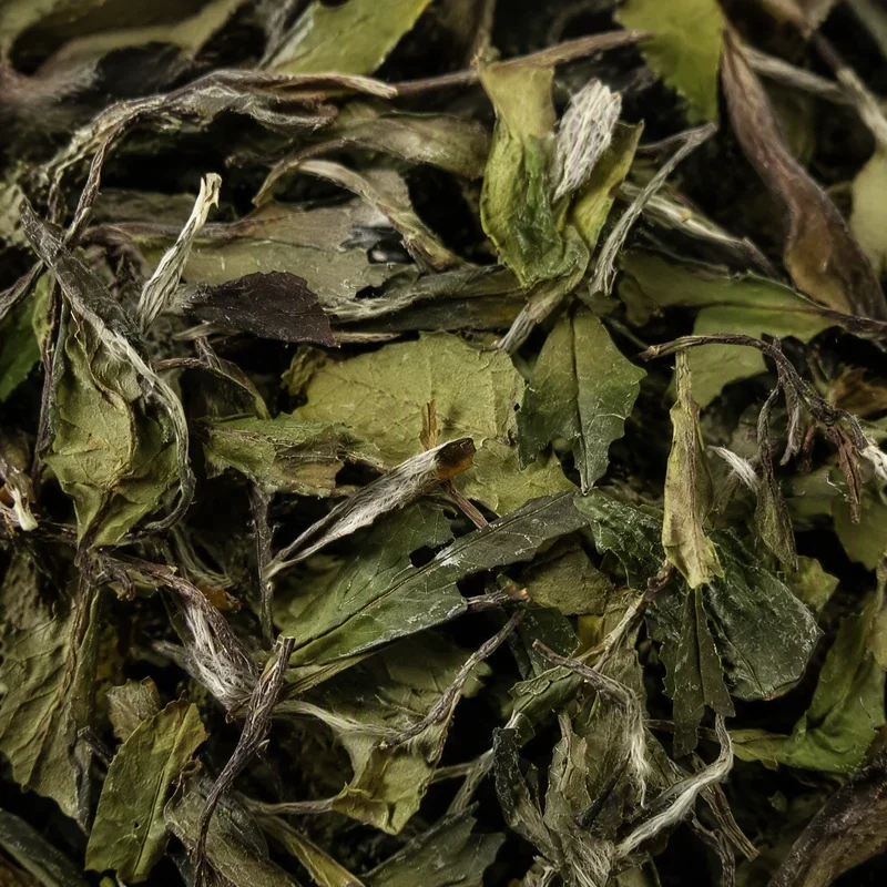 Fúdǐng Bái Chá