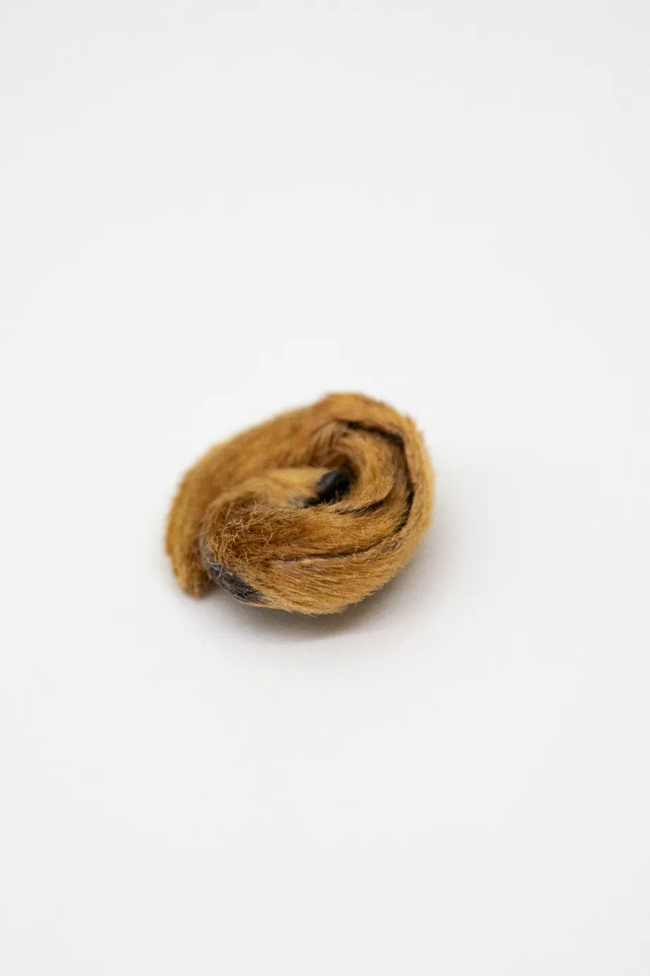 Diān Hóng Jīn Luó