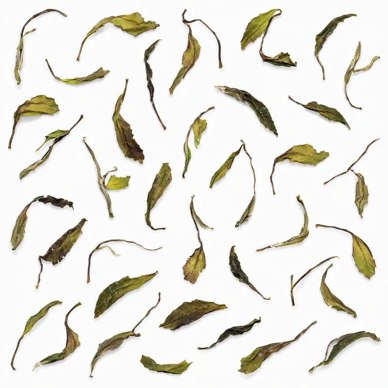 Shǒu Méi Xīn Chá
