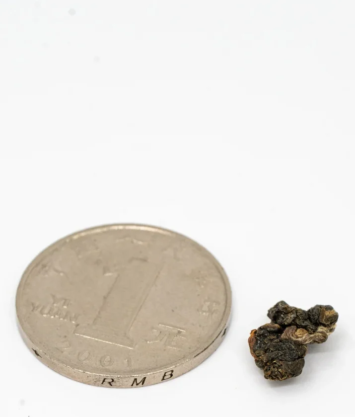 Líshān Oolong