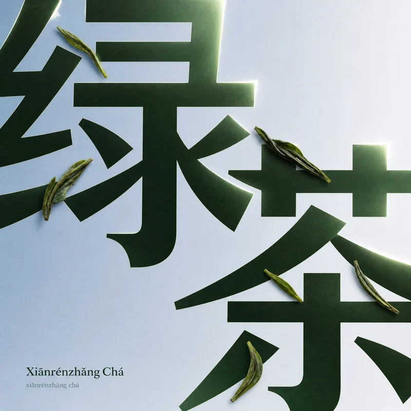 Xiānrénzhǎng Chá