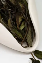 Shǒu Méi Xīn Chá