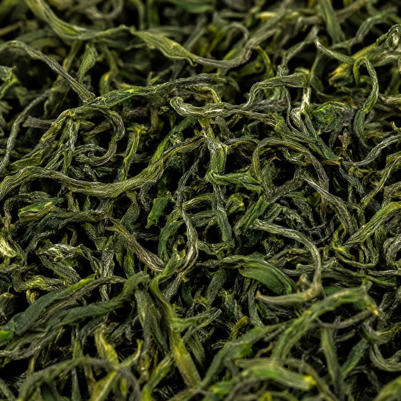 Xīshān Chá