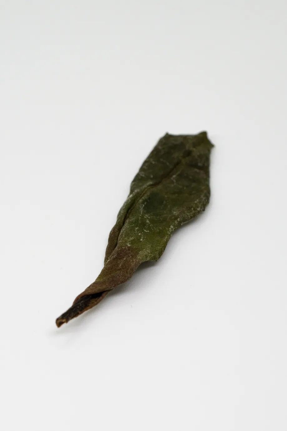Shǒu Méi Xīn Chá