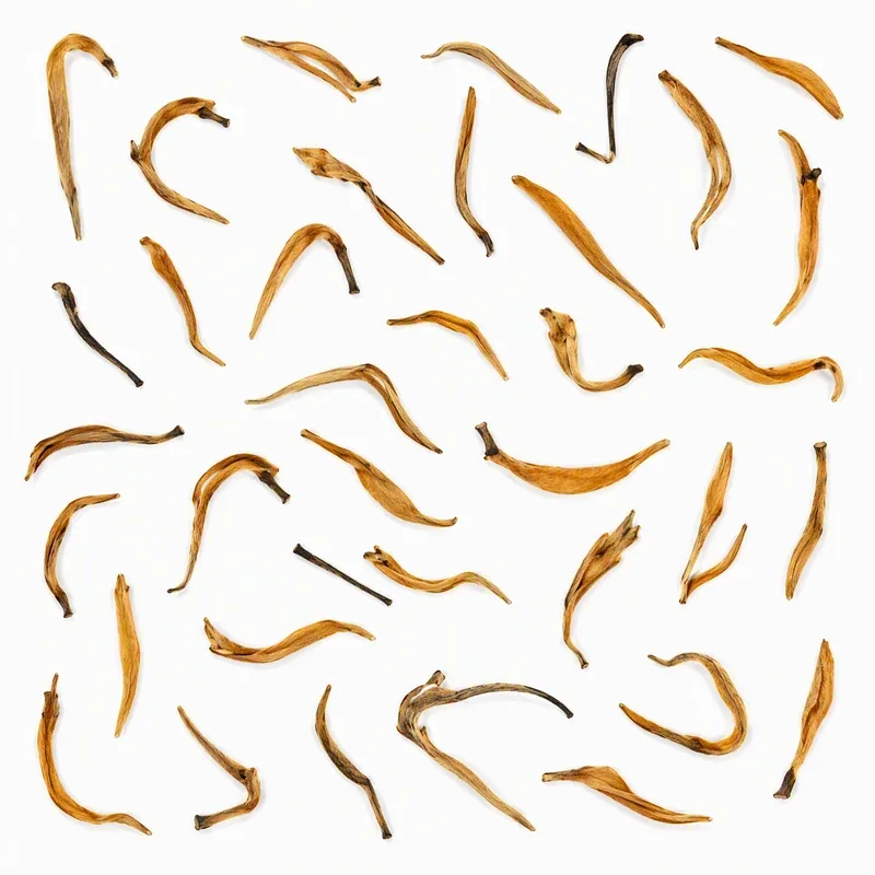 滇紅大金芽