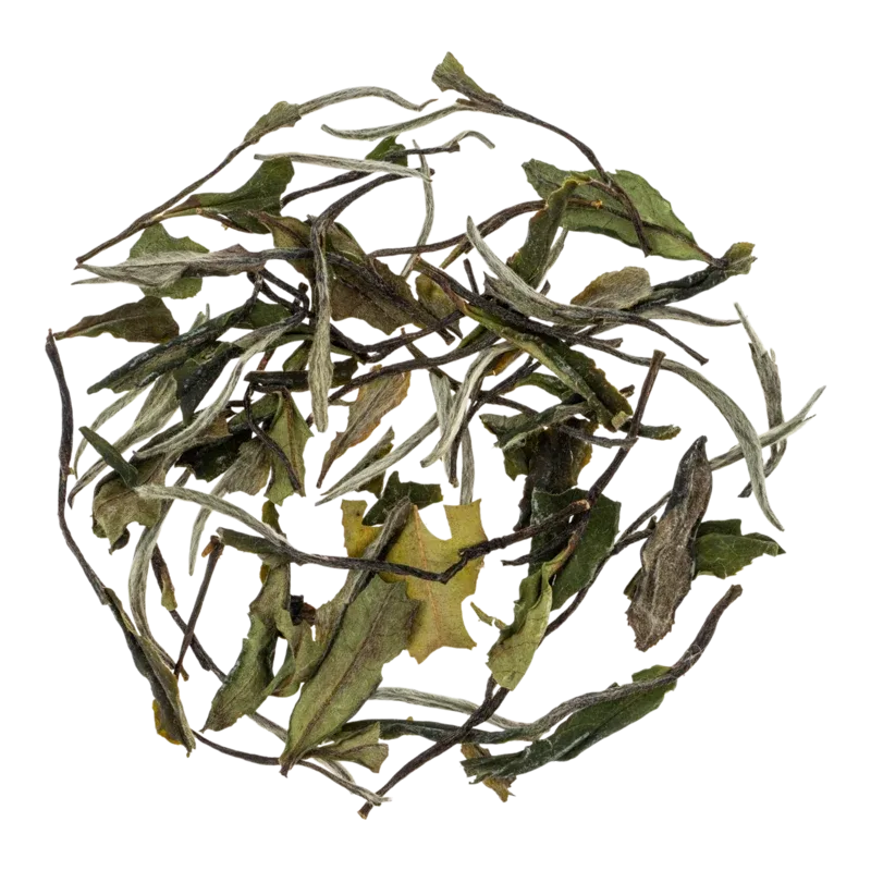 Цзяньян Бай Ча